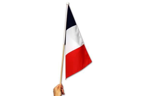 ILOVEDIY Lot de 6 petit drapeau france avec hampe support 14 x 21cm mini